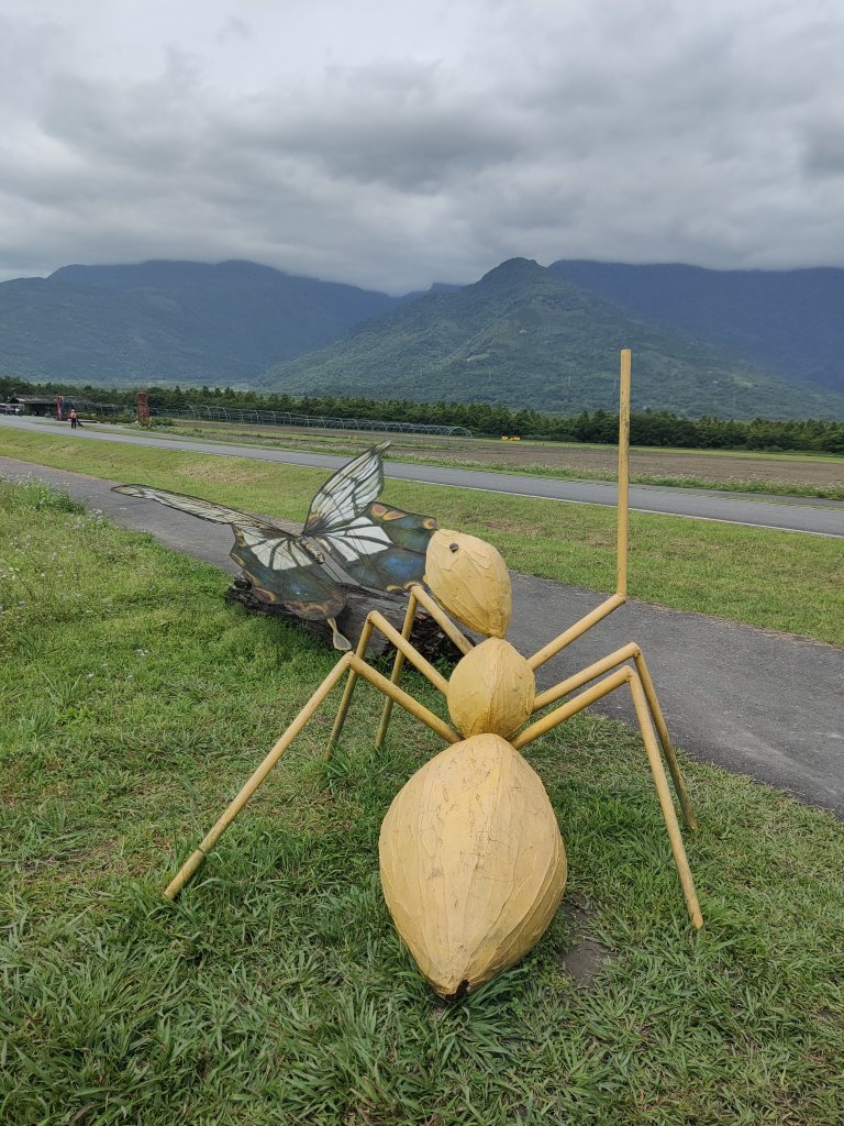 大農大富平地森林園區_1774606