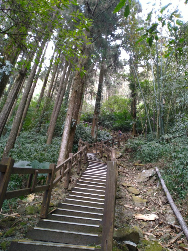 2023-03-04 奮起湖奮起步道_2057731