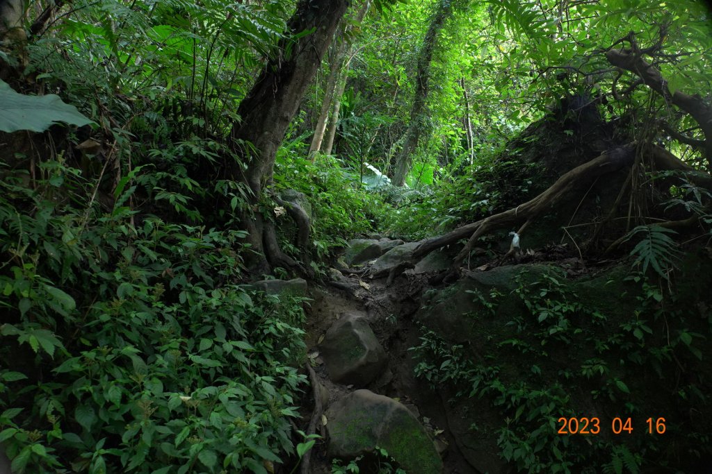 新竹 關西 石牛山_2115911