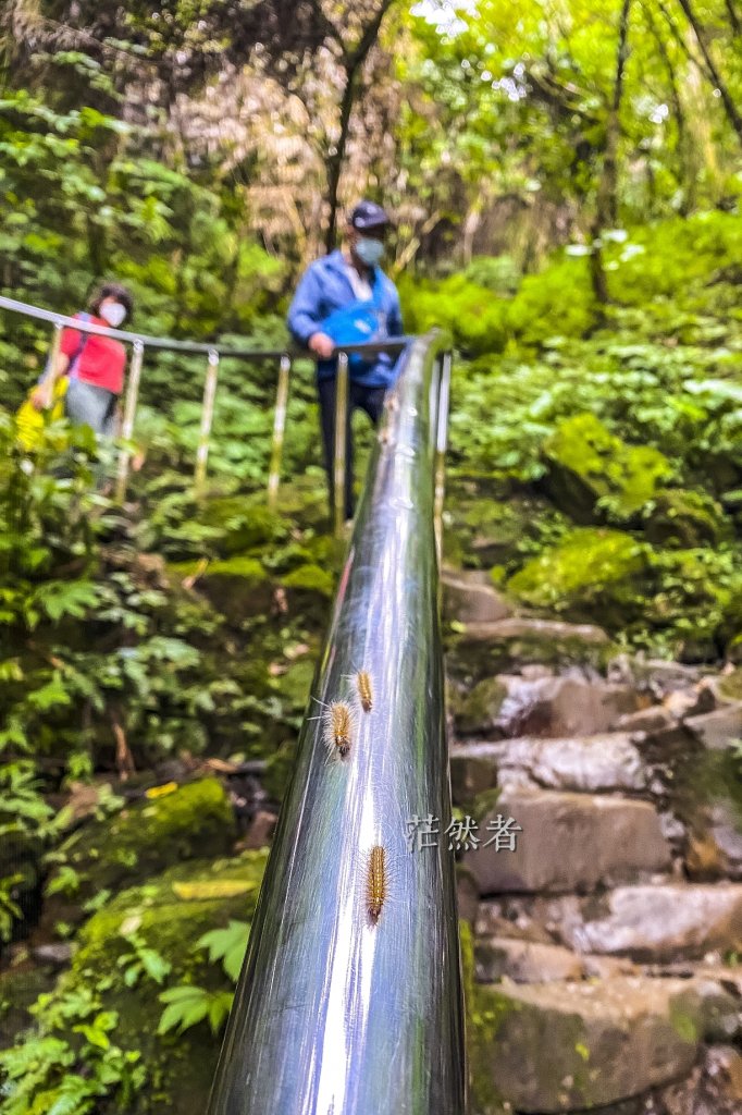 銀河洞封面圖