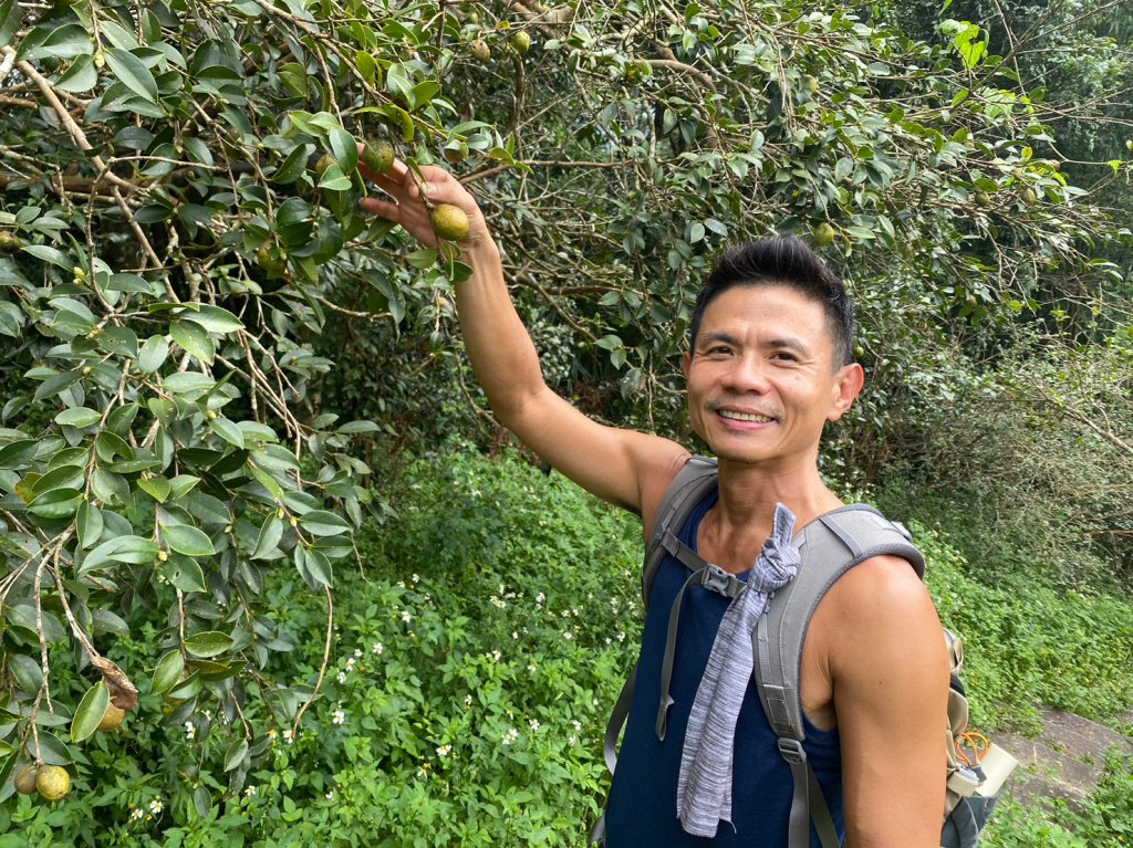 峭壁雄風.茄苳步道.幽情谷.水濂洞.蓬萊瀑布【逢九必衰之後便能否極泰來】_2300392