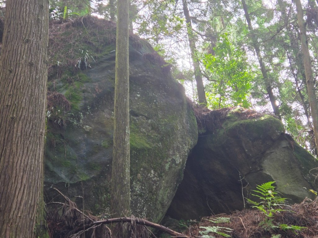 二萬坪山、二萬坪森林步道_3055584
