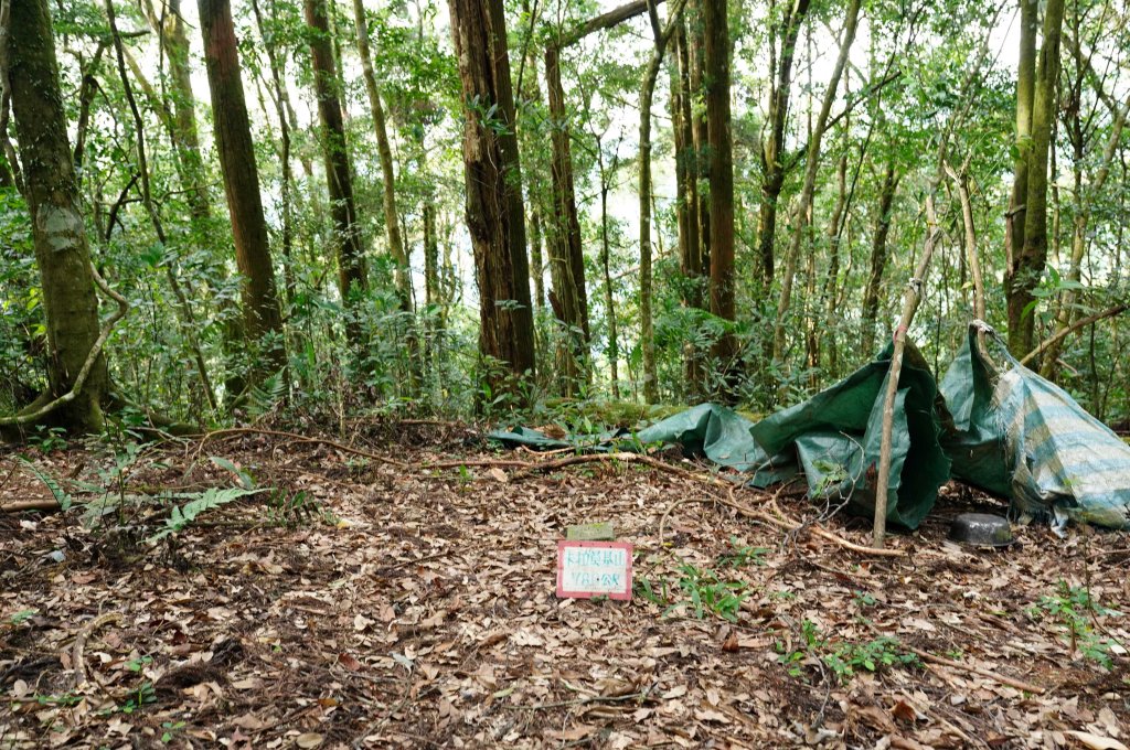 新北 烏來 卡拉莫基山_2832345