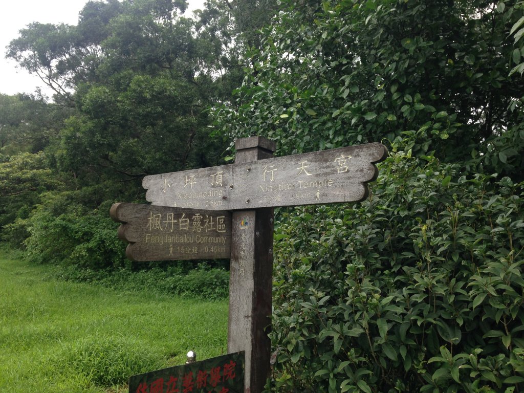 忠義山-貴子坑-小坪頂_591336