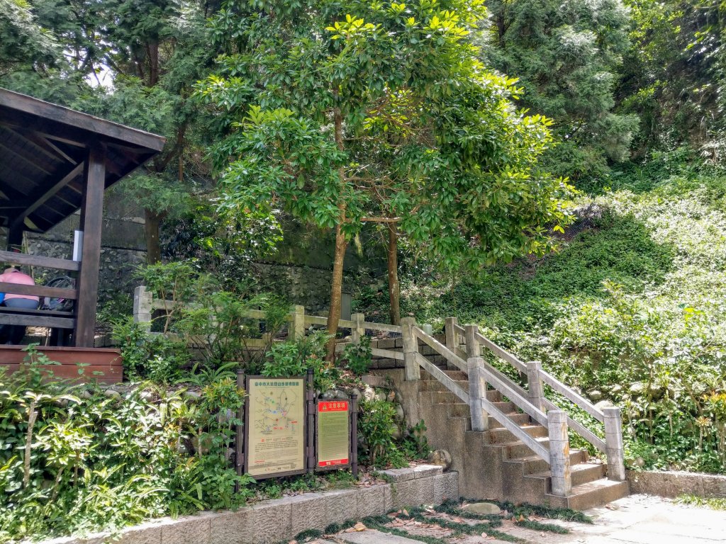 頭嵙山(小百岳#41)大坑4,5,1步道_1003668