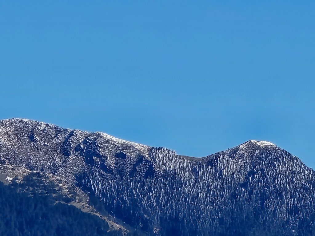 大雪山國家森林遊樂區賞楓／看神木／賞雪白山頭／賞大景_2974207