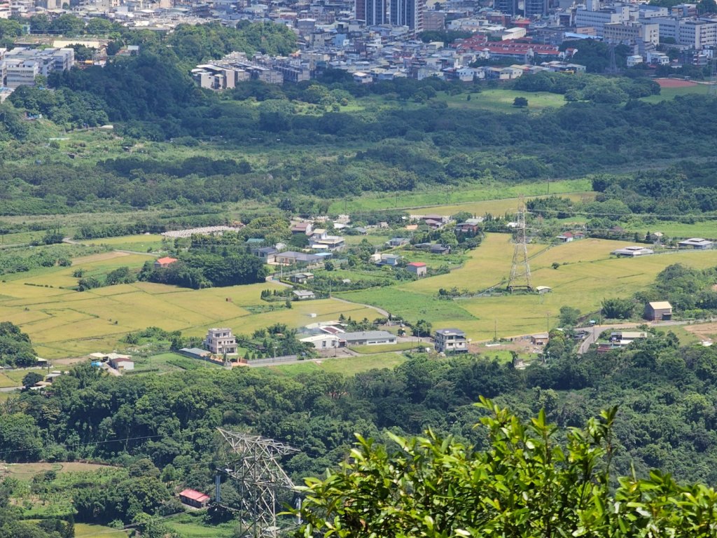 大山背麒麟步道 - 2024森遊竹縣皮皮獅Hike客任務封面圖