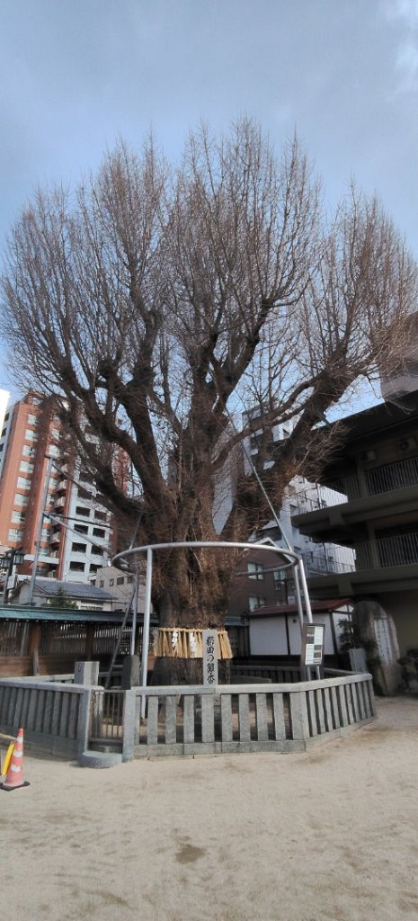 日本福岡：椰田神社_2996214