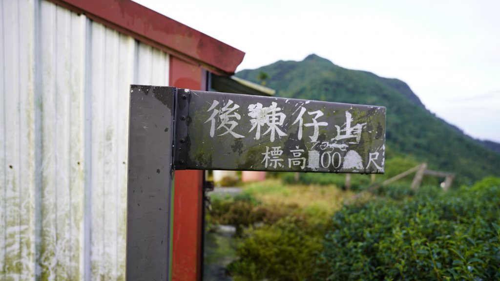 雲嘉九連峰_1438884