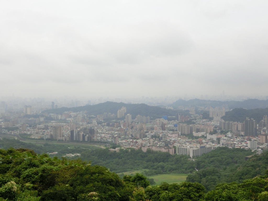 飛龍步道．石獅腳步道．樟樹步道_93092