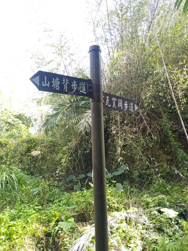 山塘背登山步道-竹林秘境封面圖