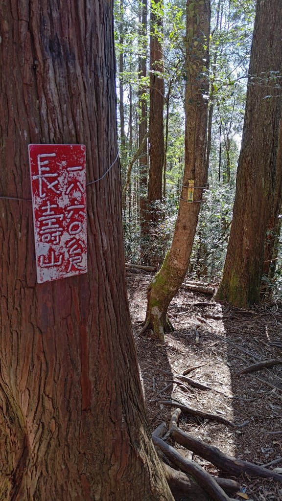 長壽山_2678052