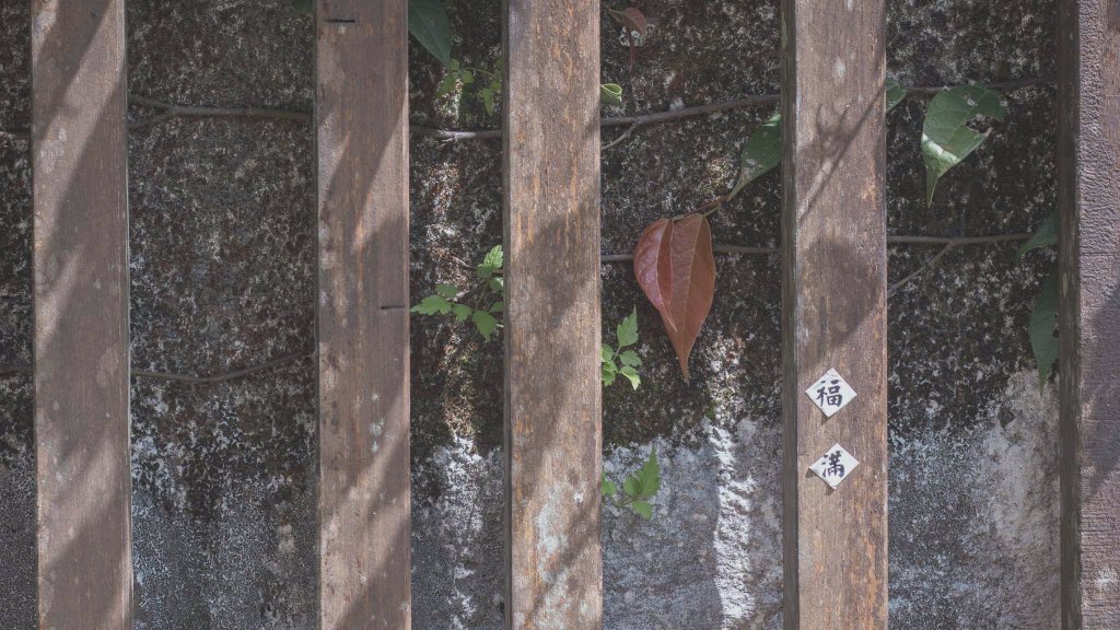 台北大縱走第四段（風櫃口-大溝溪生態治水園區）-山林、綠地、溪流、瀑布的愜意之旅_1663530