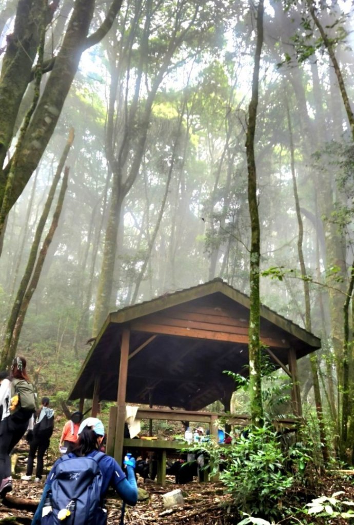 【中級山】五星級步道，谷關七雄馬崙山（八壯士進，斯可巴出）_2744941