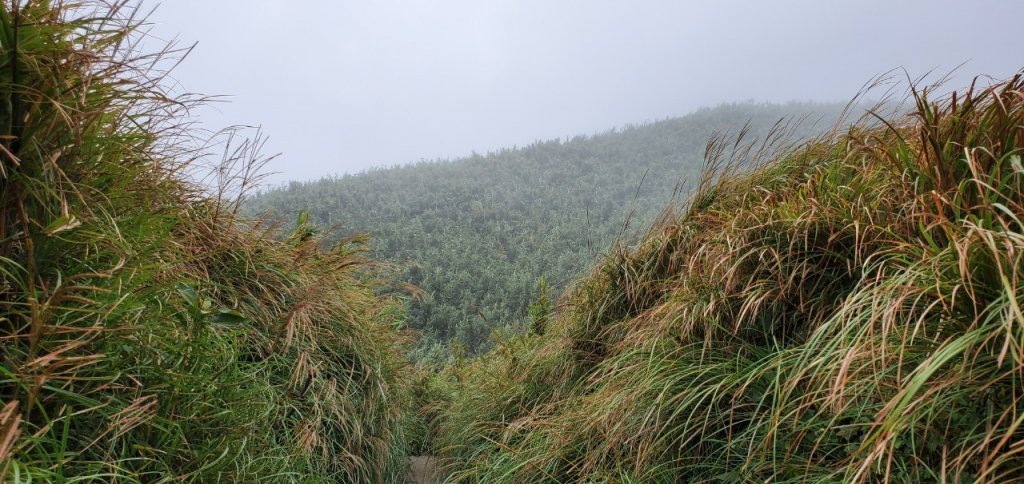 2021-1010台北市北投-大屯山_1485637