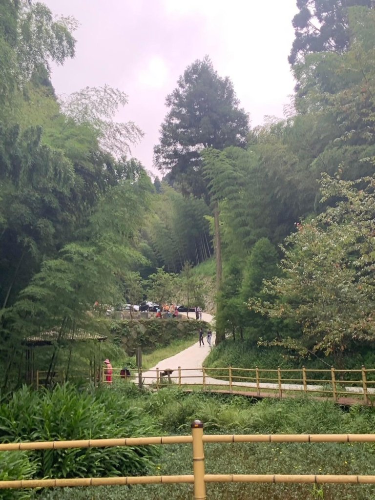 雲嶺之丘_20240720_2555090