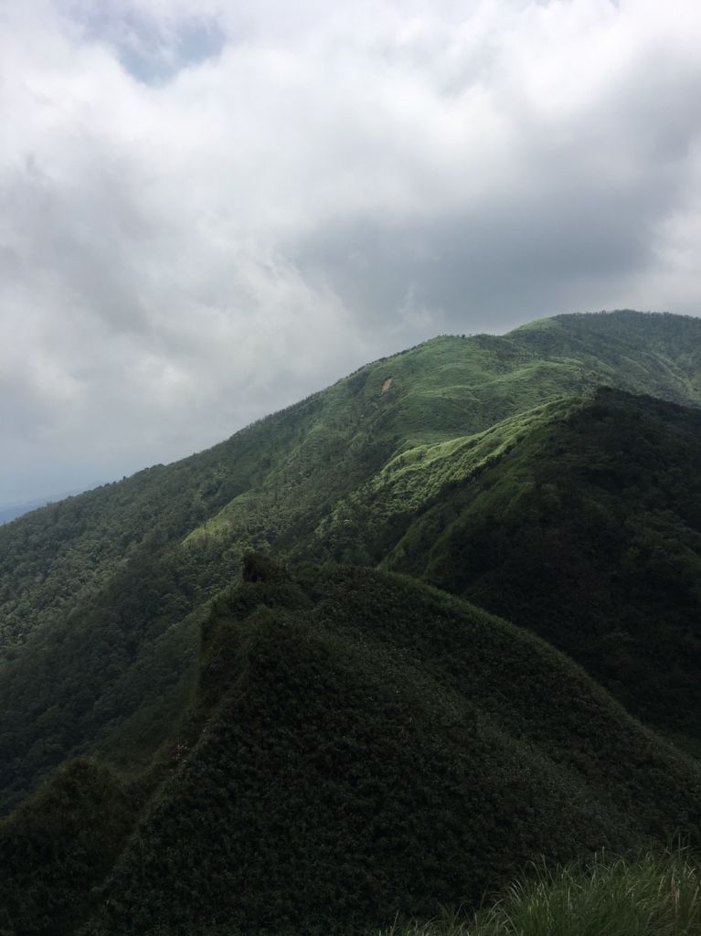 聖母山莊歩道 106.07.10(一)_151567