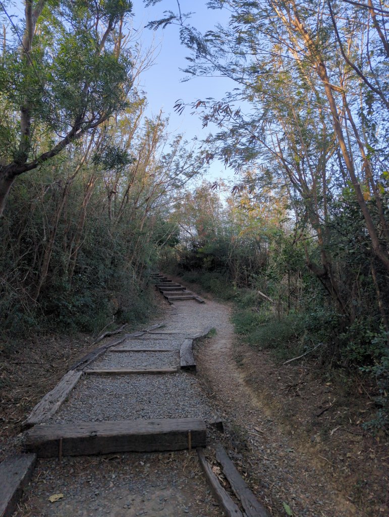 2025.01.29－新年走春：墾丁龜山_2706128