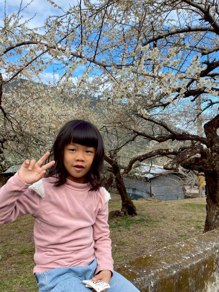 🌈1/17（六）蔡家古厝賞梅×梅子夢工廠×車埕老街✨FB：熊熊趴爬走🌈_2983920