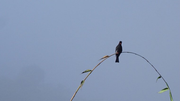 山海圳綠道之東西口越嶺道_1634784