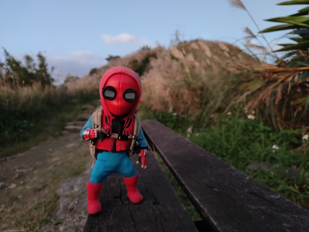 2023.11.28 基隆山_2548006