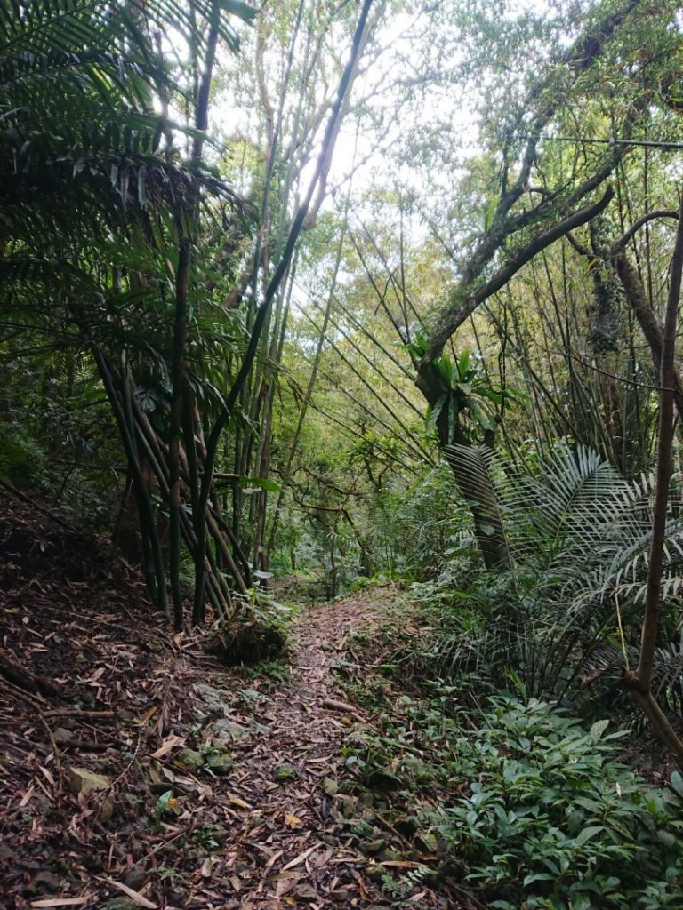 璀璨百年淡蘭古道～象寮古道、石空山、坪溪古道、梗枋古道O走_1339434