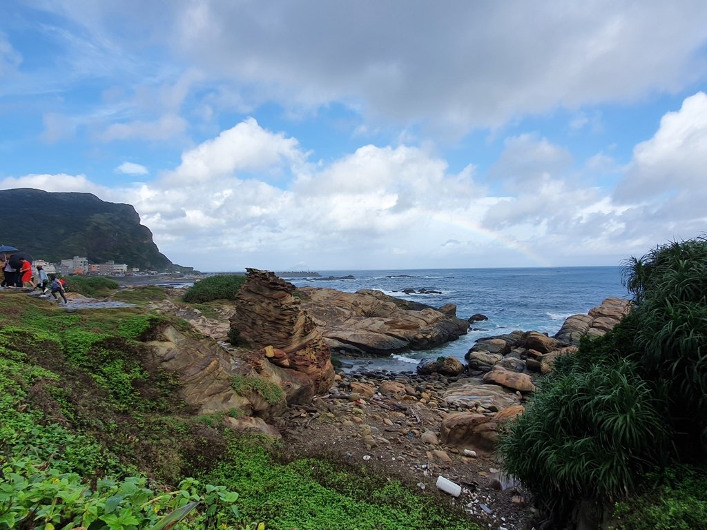 【東北角】鼻頭角步道&象鼻岩知性之旅_1165978