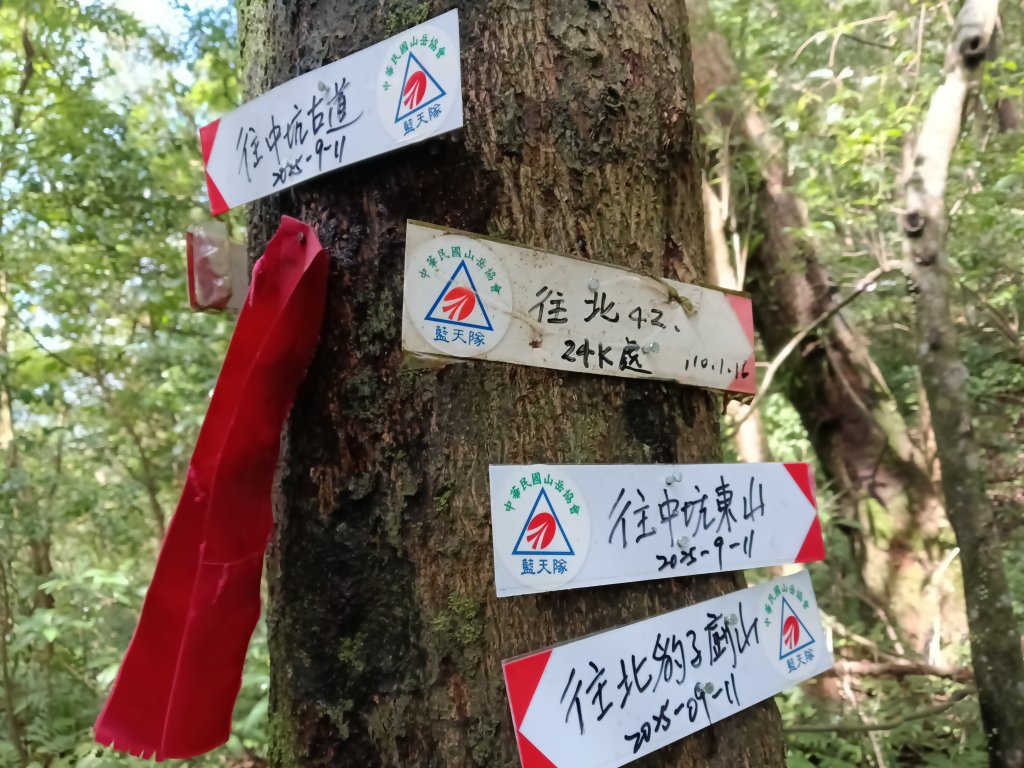 雙溪區中坑古道+大夯瀑布+中坑東山+中坑東山尾稜O型_2921576