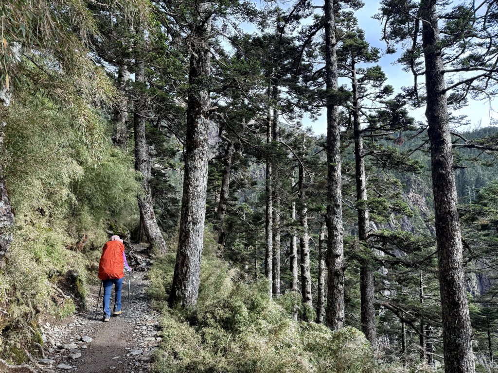 玉山主峰 2025/09/26~27_2915398