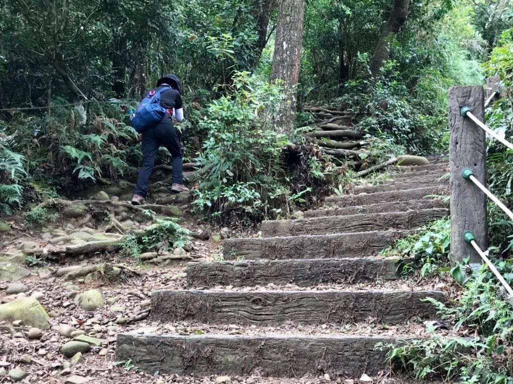 飛鳳山觀日坪連走中坑山_388276