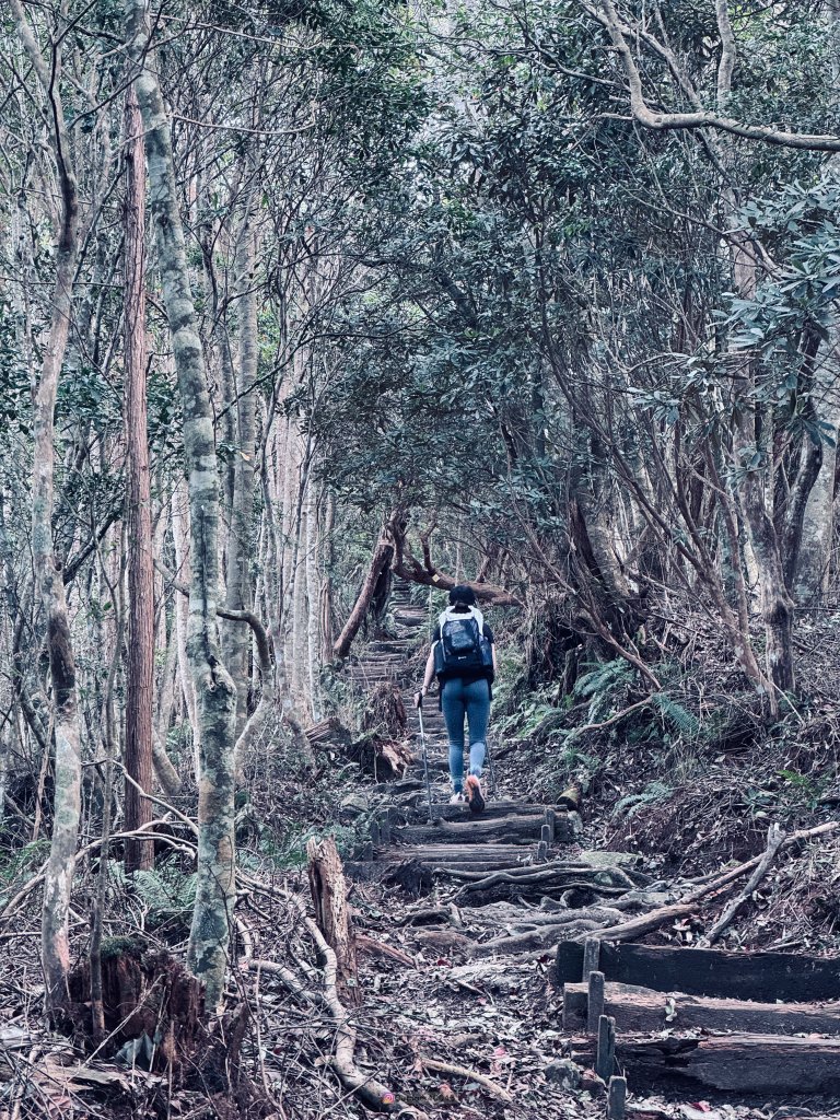 松鶴上八仙_2653173