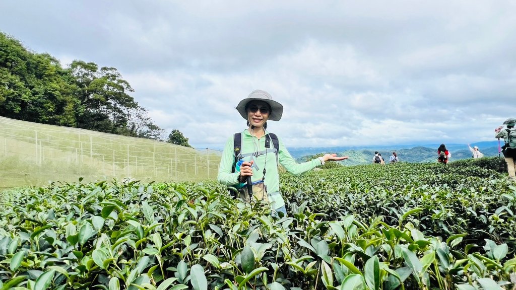 〽️11/17(日)南庄獅頭山🦁(小百岳)~九九步道O型⛰️順遊南庄老街_2649573