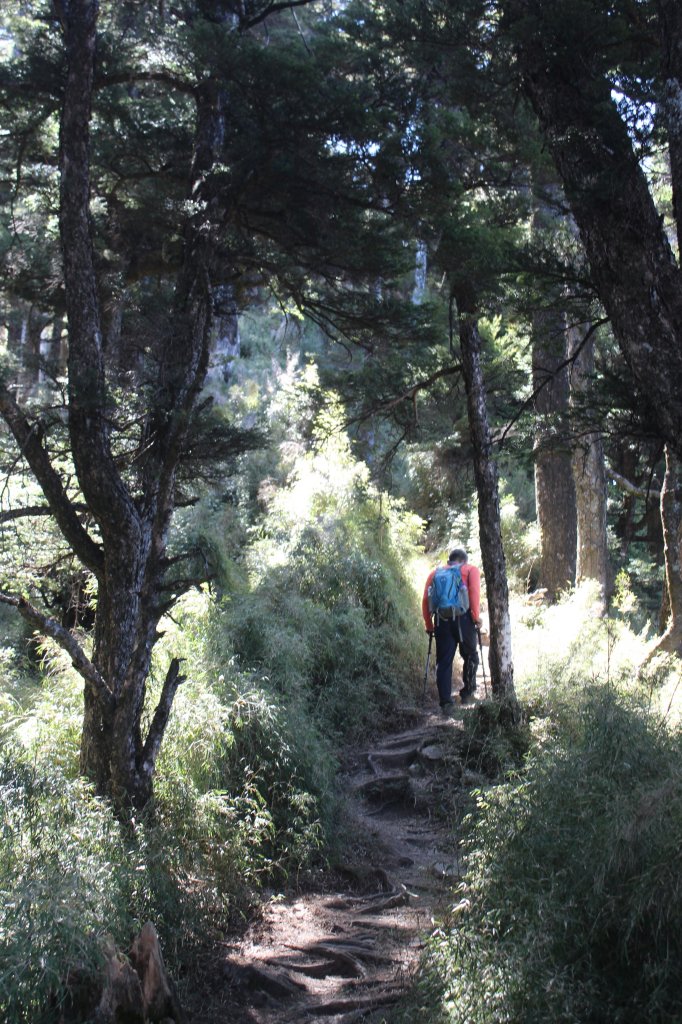 20230306高雄關山(二刷)_2070789