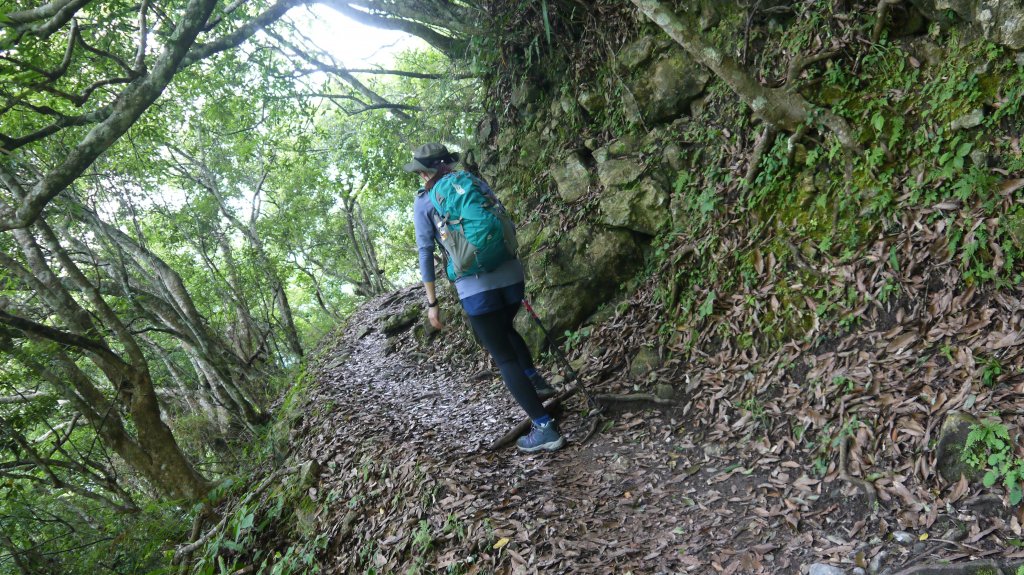 錐麓古道登山健行趣(古道)_1741948