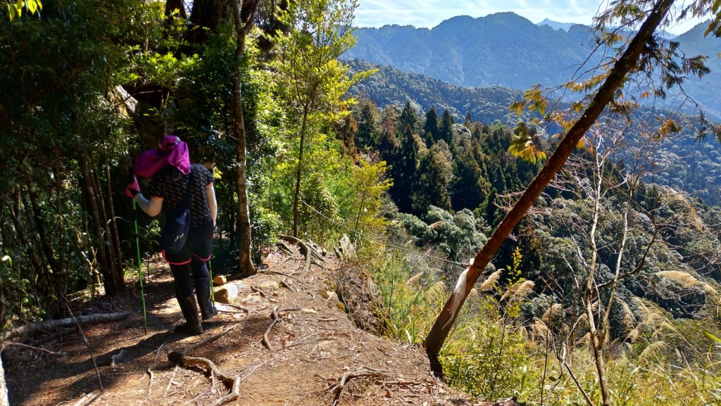 一日【水漾森林-鹿屈山】_1280936