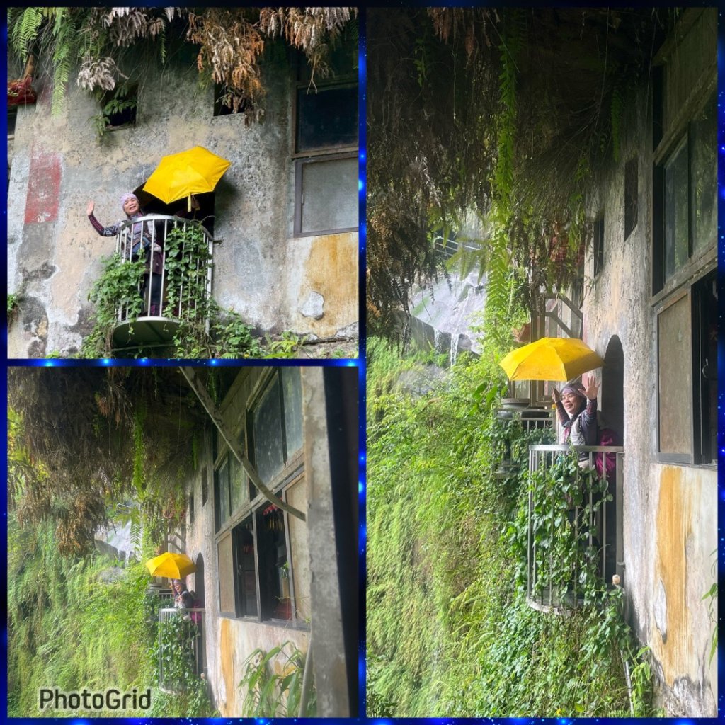 微笑山⛰️線-大棟-二格山-五分山-天上山-鳶山💎12條步道完成💙_2834093