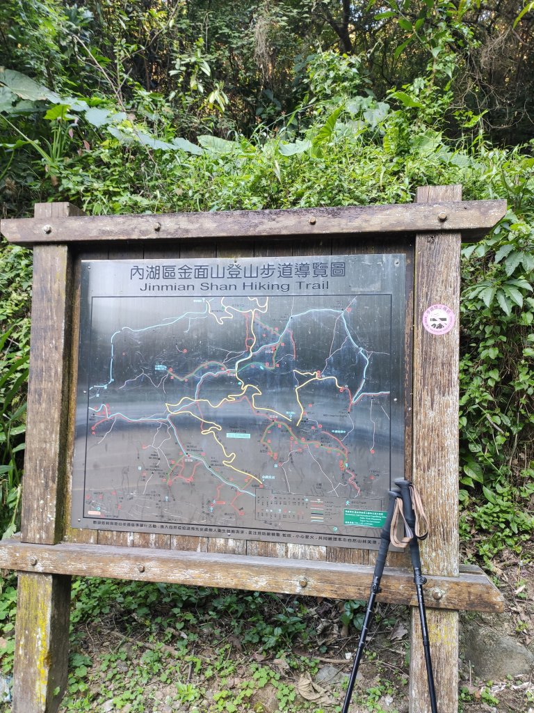 內湖一日雙金_1279466