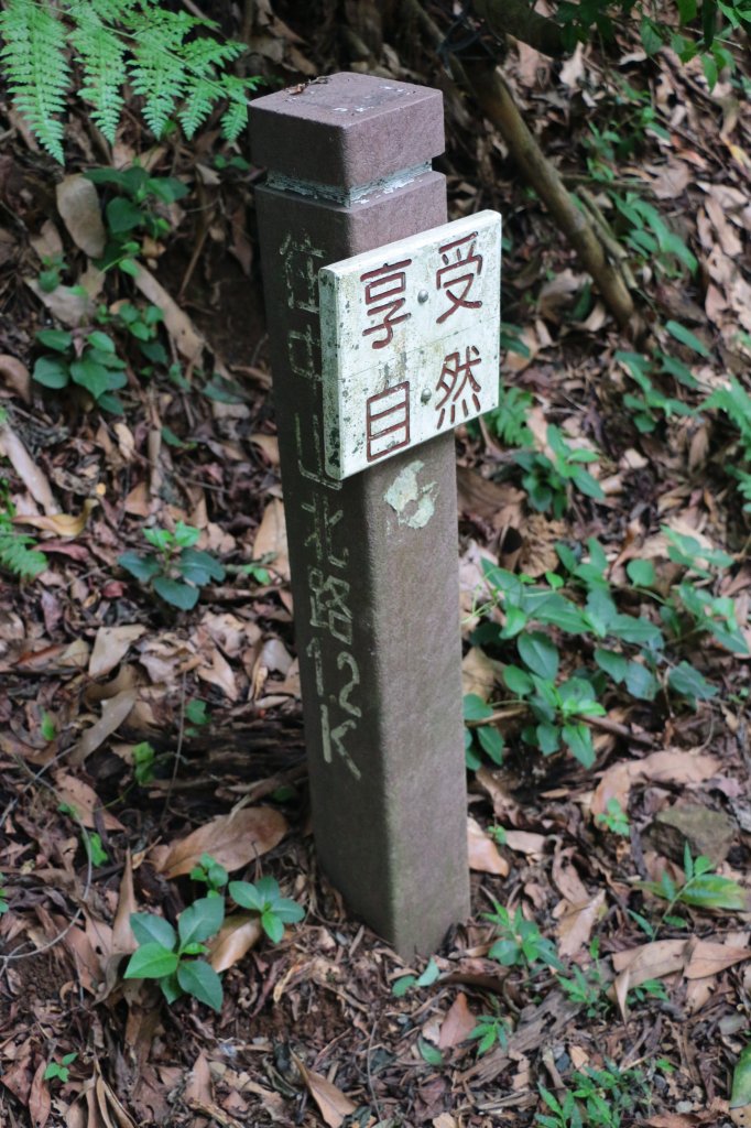 2016.09.11-天母水管路步道_2015091
