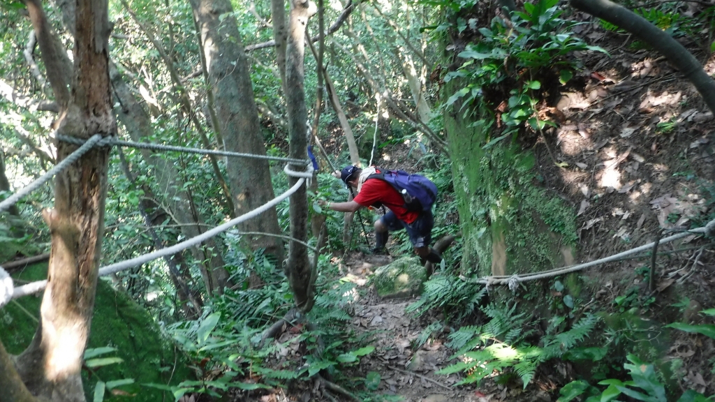 一日海陸雙棲之野柳駱駝峰稜線_55258