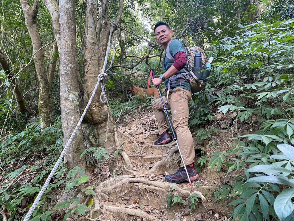 金童山.汶水山.玉女山【冬天的郊山縱走=高山等級的享受】_2680916