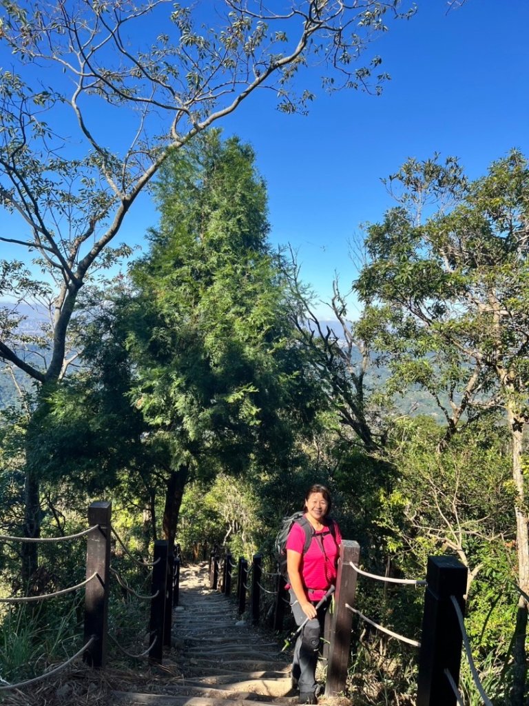 大坑五號步道、5-1號步道、頭嵙山_2668133