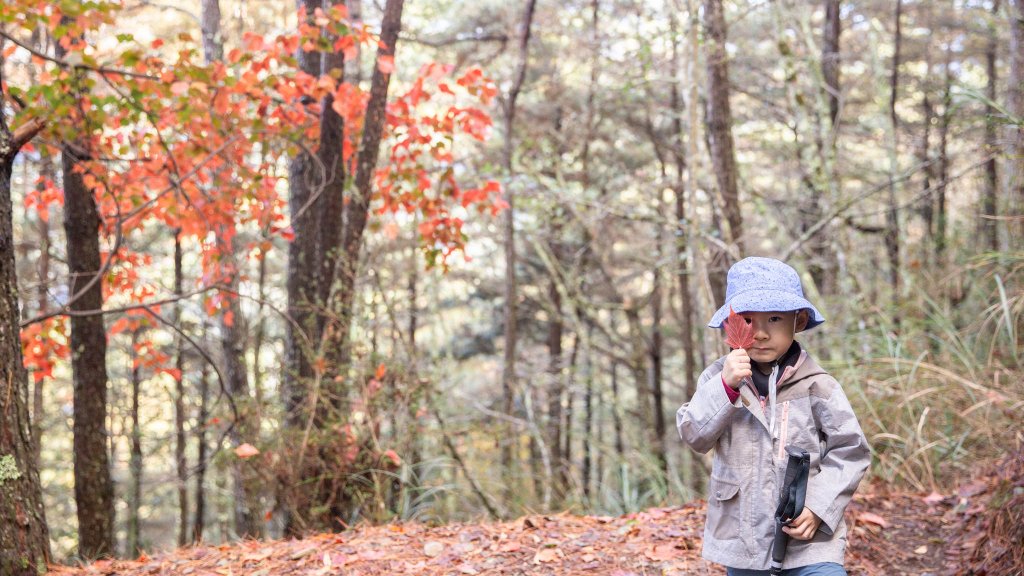 哭坡不哭-雪山東峰 & 七卡山莊之旅_1561109