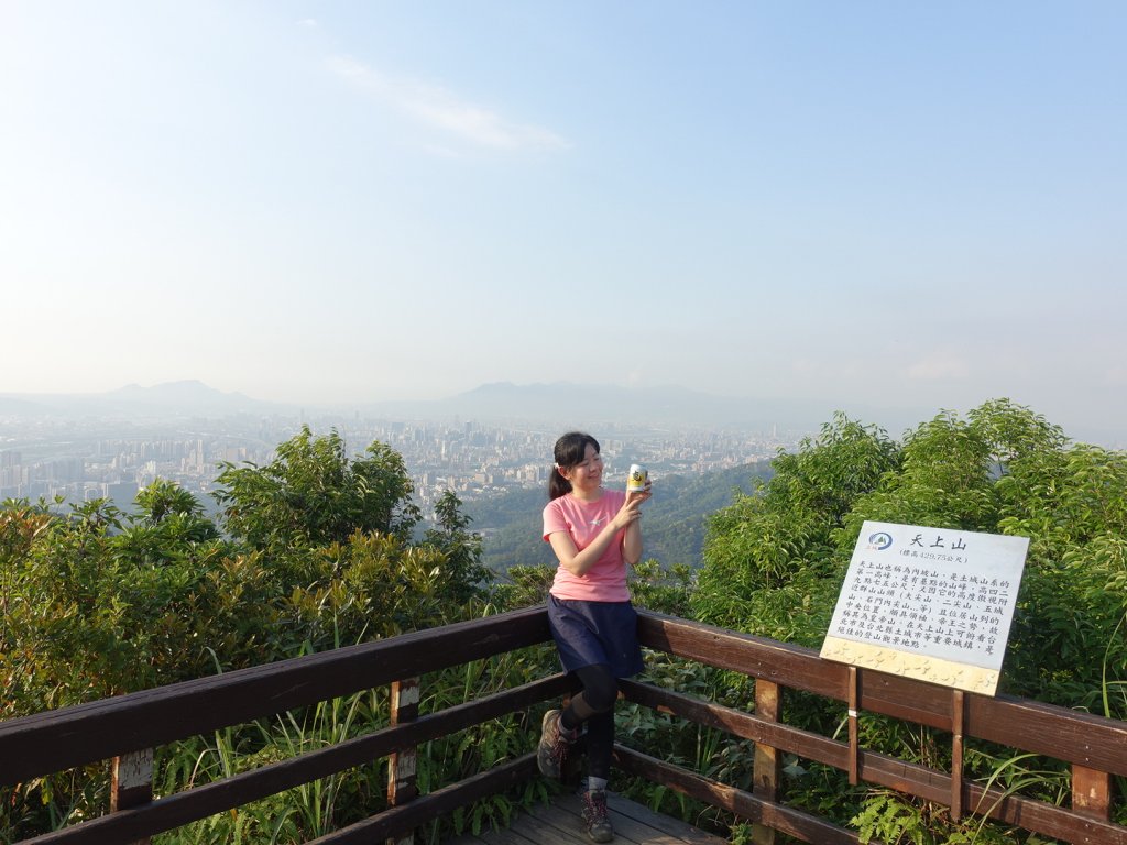 桐花公園、天上山~桐花開了！封面圖