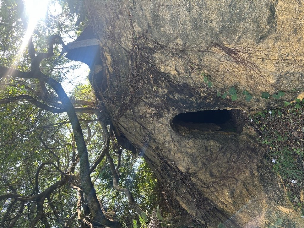 苗栗西湖-柚子山步道_2615567