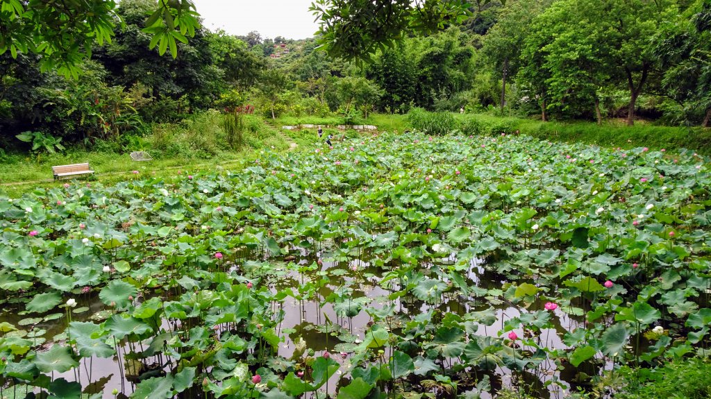 汐止小爬山_1752743