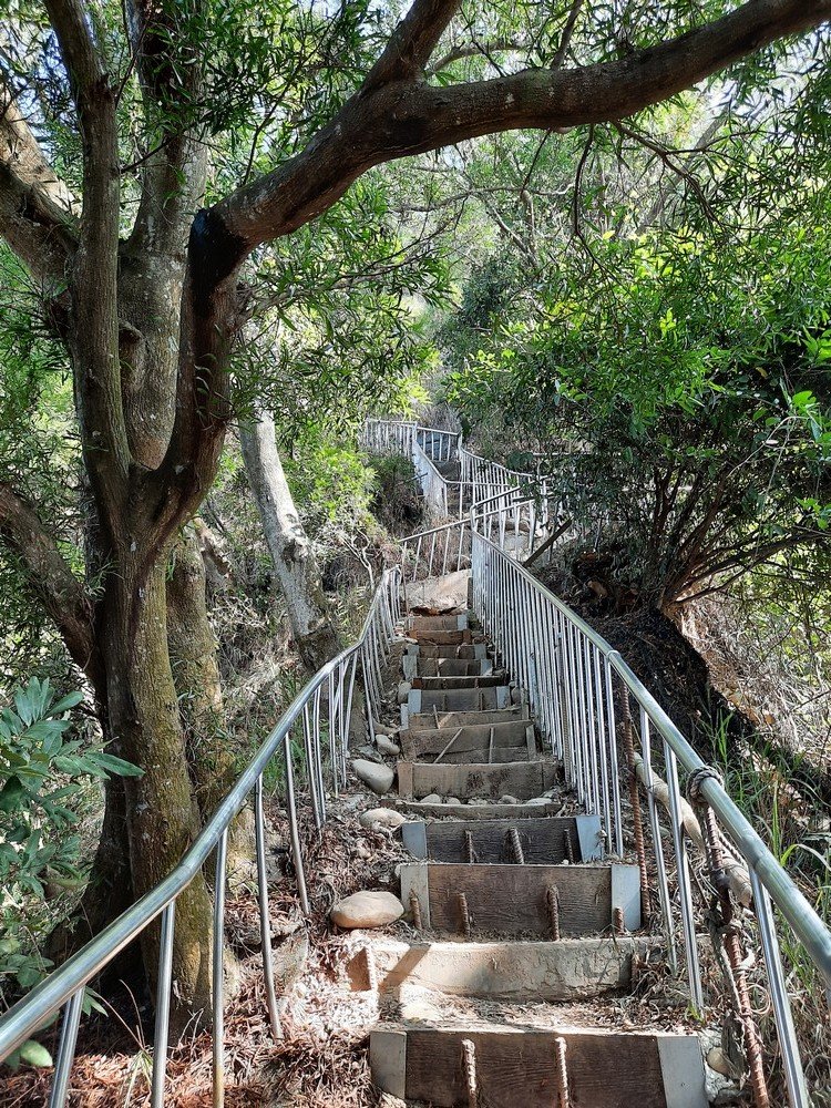 《彰化》田中森林登山步道O型20201122_1179722