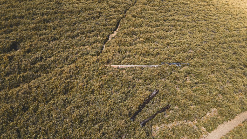 日本帝國廢電線桿之路_2395312