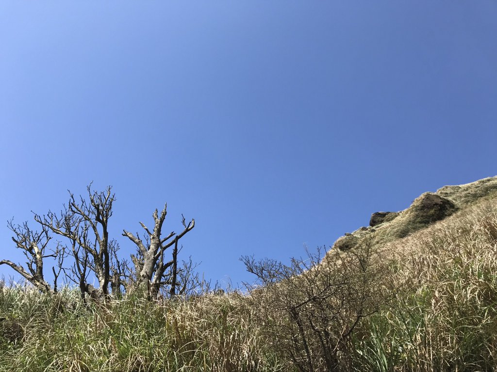 陽明山縱走之鍊_881009