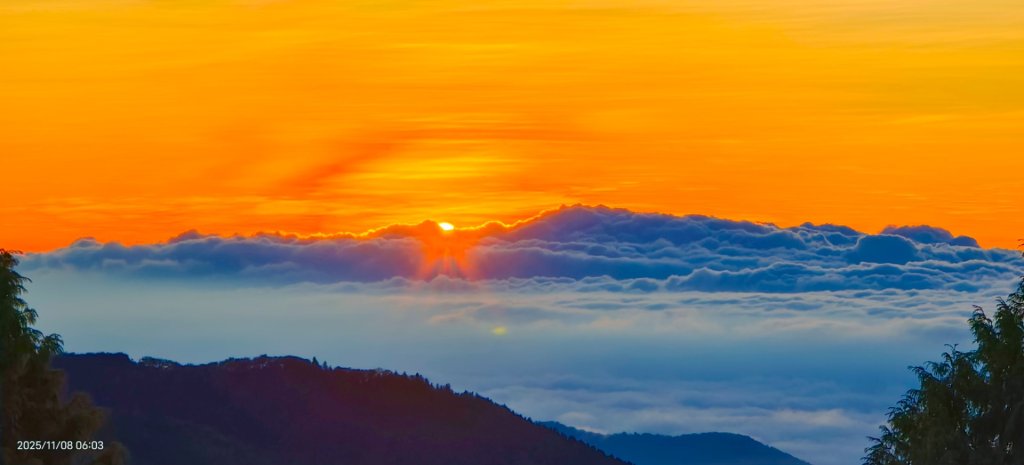 #太平山 #望洋山 #觀雲步道 #日出 #雲海 11/8_2931202