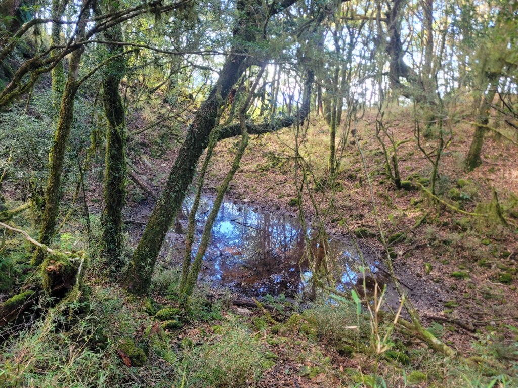 20231103 南一段四天_2356044